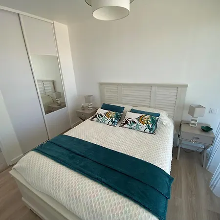 Appartement Renove Face Avec Terrasse Geante Et Parking - Fr-1-837-25