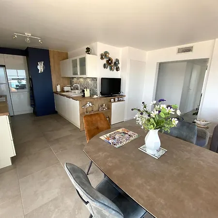Appartement Renove Face Avec Terrasse Geante Et Parking - Fr-1-837-25